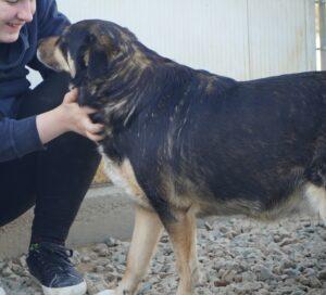 03-24_Berta11