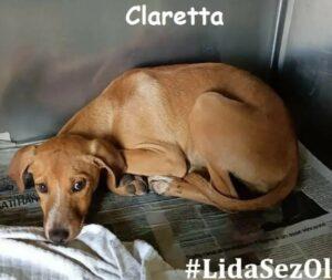 Claretta-LIDA