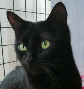 Heidi 17.4. Portrait