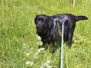 05_25_Evelina_4