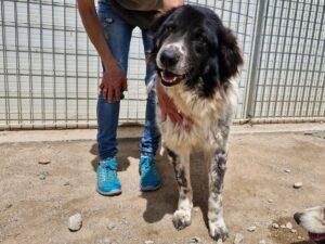 04-25_Boris1b