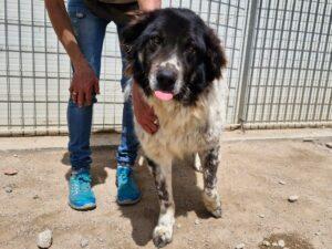 04-25_Boris3b