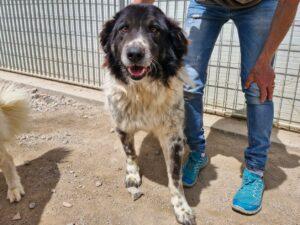 04-25_Boris6b