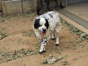 04-25_Lola1b
