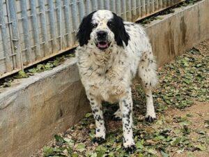 04-25_Lola8b