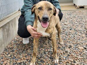 04-25_Annabella1b