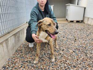 04-25_Annabella2b