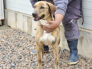 04-25_Annabella4b