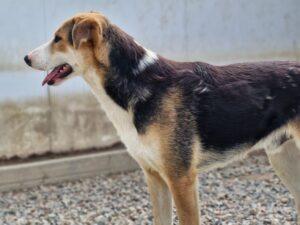 04-25_Rocco4b