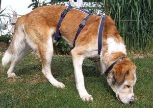 05-25_Turbo-PS11b