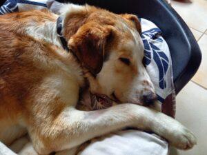 05-25_Turbo-PS16b