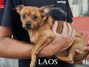 07-25_Laos_4