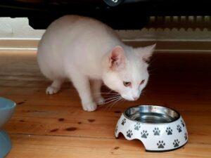 Filippa_PS_2025-11_2