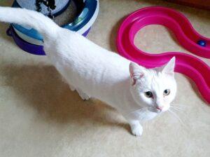 Filippa_PS_2025-12_04