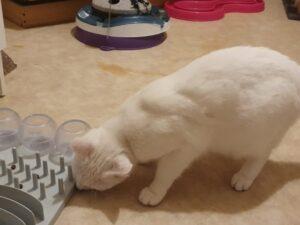 Filippa_PS_2025-12_1