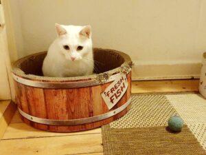 Filippa_PS_2025-12_2