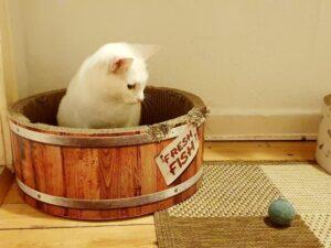 Filippa_PS_2025-12_3