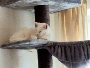 Filippa_PS_2025-12_8