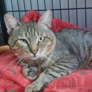 IMG-20250808-WA0047 (1)