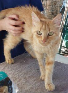 Elisabetta_09.2025_2