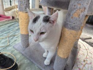 PHOTO-2025-10-03-17-38-17