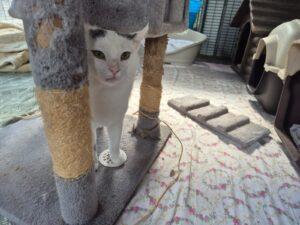 PHOTO-2025-10-03-17-38-18