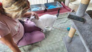 PHOTO-2025-10-03-17-43-08