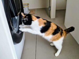 Marina home 3