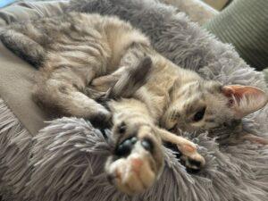 Molly_PS_26-09_03