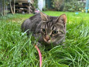 Sebastian_PS_26-09_04