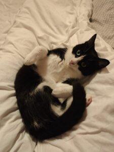 Titti_0426_7