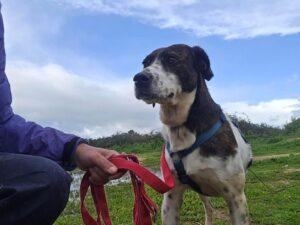 Bernado_2026_01_25_1