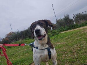 Bernado_2026_01_25_2