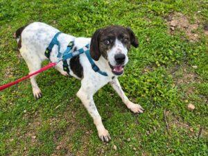 Bernado_2026_01_25_5