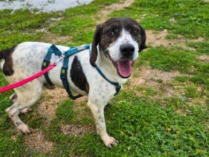 Bernado_2026_01_25_6