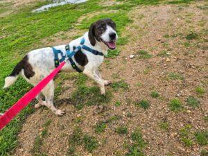 Bernado_2026_01_25_7