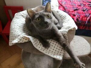 Savina_09.2026_5