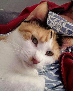 Lidina_PS_26-09_04