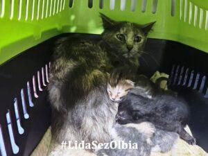 Biba und Bobo_Fundtag