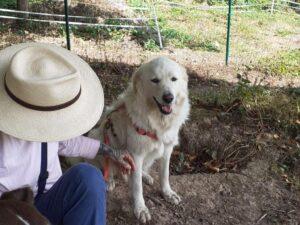 Leoncino-08-2026-3