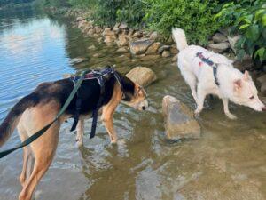 Roxy-28-08.-26-2