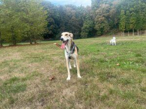 Roxy-28-08.-26-9