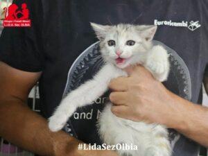 Stella_26-08_4
