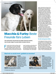 Partner Hund Artikel Furby und Macchia.pdf